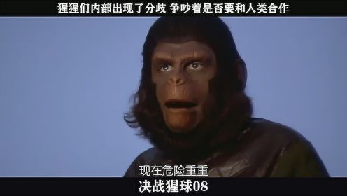 决战猩球-08，猩猩们内部出现了分歧 争吵着是否要和人类合作