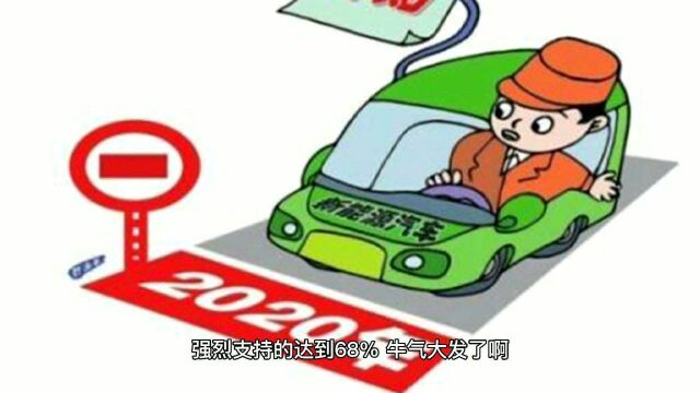 今年宣布造电动汽车的科技企业非常多,只有低价才能打消疑虑心理