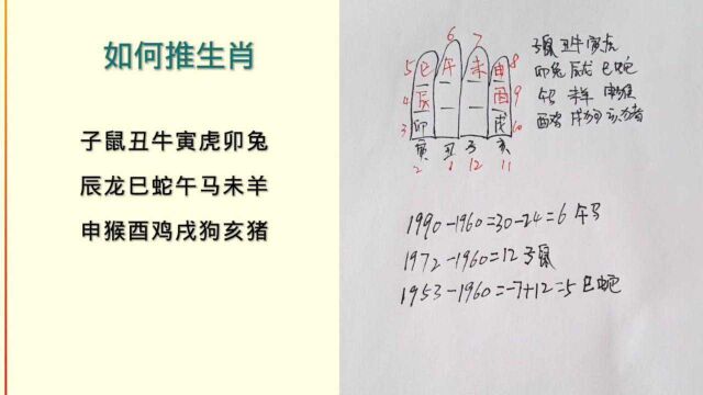 易经基础:如何推生肖