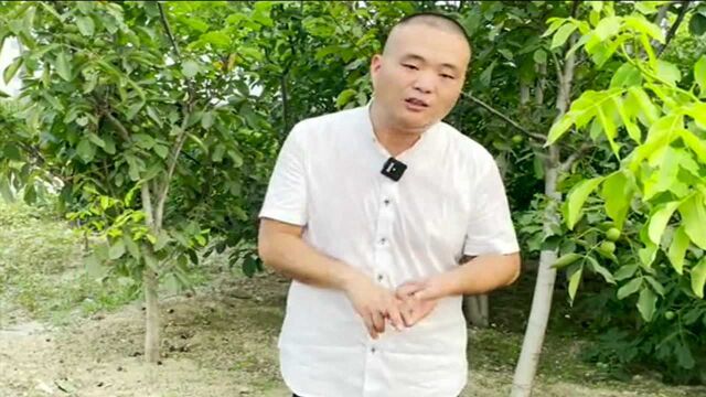 车贩子给大家讲点“干货”,看完之后选购二手车不会被坑