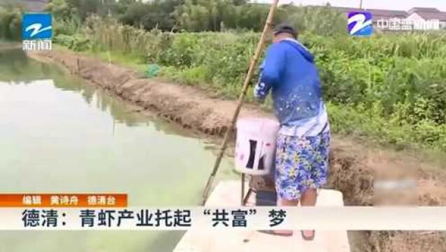 德清:青虾产业托起“共富”梦