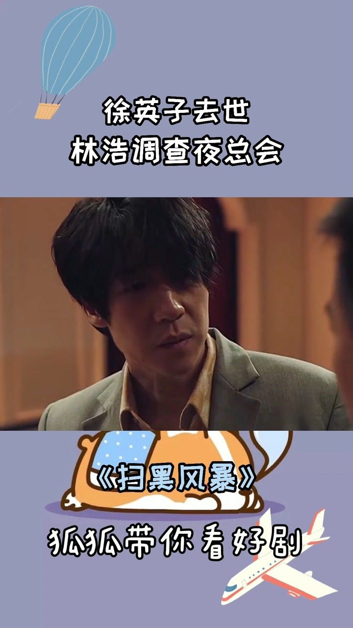 扫黑风暴徐英子去世林浩调查夜总会