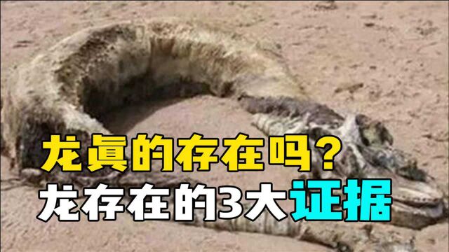 龙真存在吗?百人目睹真龙现身,细数历史上龙存在的3大“证据”