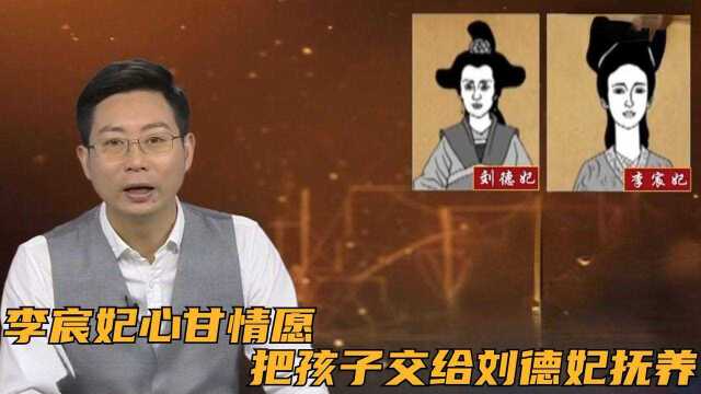 历史上的李宸妃为了报恩,心甘情愿把孩子交给刘德妃抚养,并没有”狸猫换太子“一说