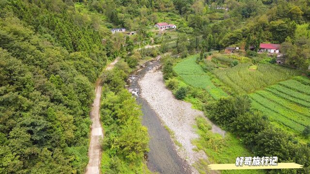 航拍略阳仙台坝任家院村,农舍、田地、小河,构成一幅美丽风景画