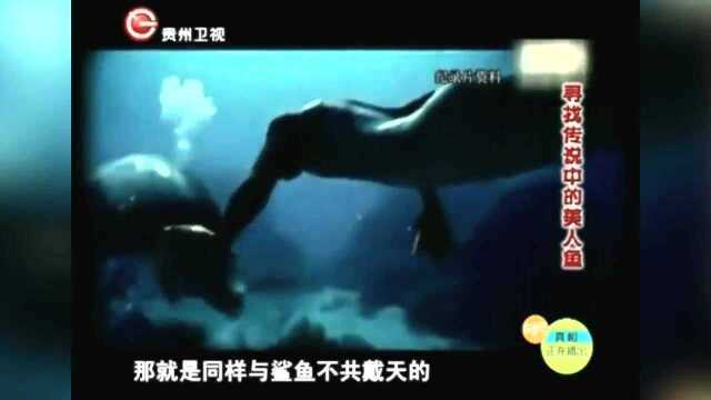 沿海爆发地震,古猿无法回内陆,走向海洋形成了海猿