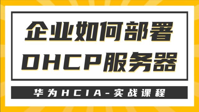 华为HCIA之企业如何部署DHCP服务器7