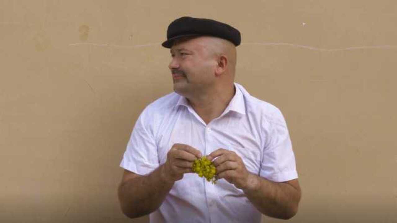 8万次播放hekimwali yigi yumur kuldurga kizzikarlik itot nahxa