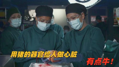 《良医》第4季 ：医生用猪膀胱做心脏，居然将病人救活了