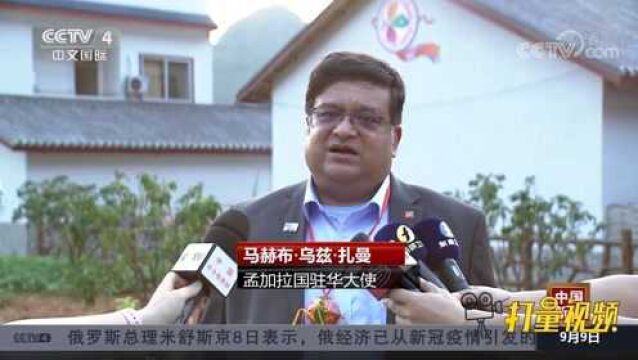 多国驻华使节参访广西桂林,点赞中国民族团结工作