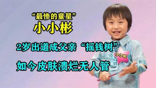 2岁出道年赚900万,被父母当成“摇钱树”,小小彬如今怎么样了?