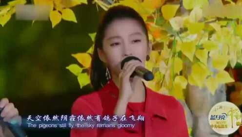 歌曲《白桦林》演唱-佟铁鑫、关晓彤，感受秋的美好!