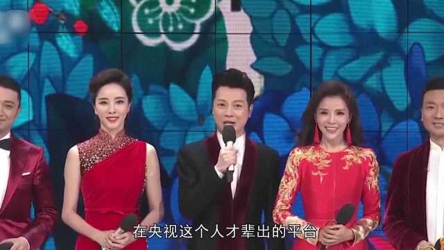 6位央视主持人被国家开除,王冠是绯闻缠身,亚宁满头白发身价过亿!