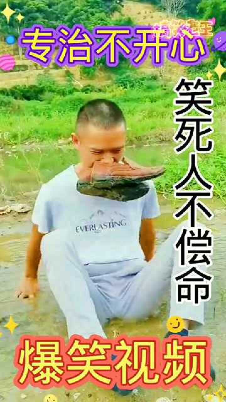 搞笑小视频_高清10
