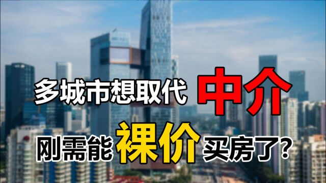 多城市“取代中介”试水,刚需真能裸价买房吗?4个问题仍是阻力