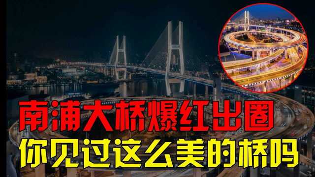 上海南浦大桥为何突然爆红?从没见过这样的大桥,单条播放破千万 #知识ˆ’知识抢先知#