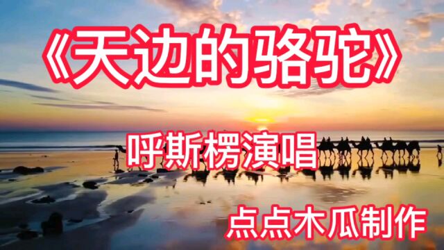 《天边的骆驼》呼斯楞演唱