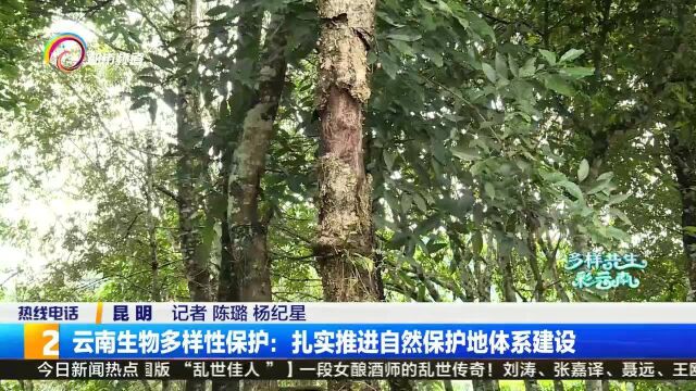 云南生物多样性保护:扎实推进自然保护地体系建设