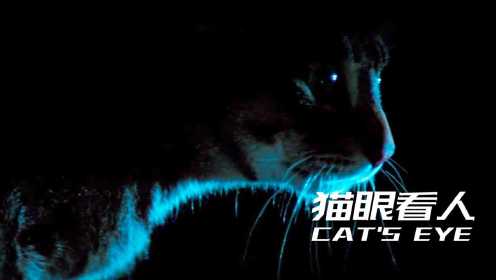 猫咪通灵大战妖怪，半夜救下主人，惊悚电影《猫眼看人》