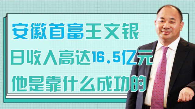 安徽“隐形首富”王文银,平均日收入16.5亿元,他是怎么做到的