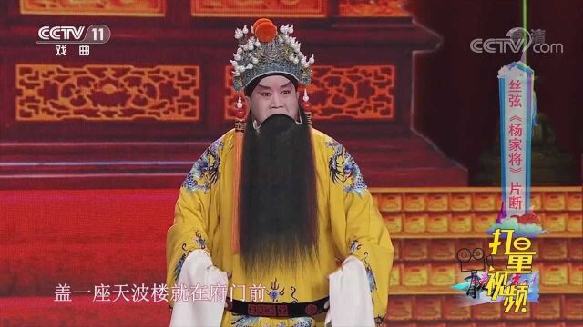 郭鹏演唱丝弦《杨家将》,唱功不凡,让人眼前一亮