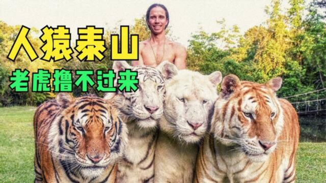 真人版人猿泰山,在家里养60多头老虎的疯子!