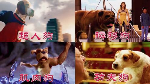 超人狗能绕地球飞十圈，影视中的超能狗，你觉得哪个更厉害#电影HOT短视频大赛 第二阶段#