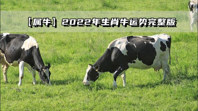 【属牛】2022年生肖牛运势完整版!