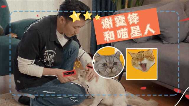 《家有恶猫》谢霆锋和猫的故事:一起喵喵喵吧!