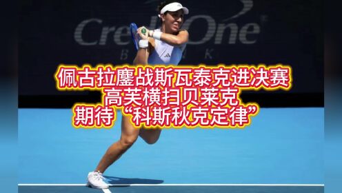 佩古拉鏖战斯瓦泰克进决赛,高芙横扫贝莱克期待“科斯秋克定律”_高清1080P在线观看平台_腾讯视频