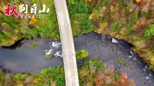 看 ⷠ白山丨秋到白山