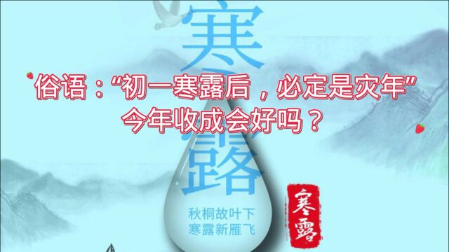 九月初三寒露,俗语:初一寒露后,必定是灾年,今年收成会好吗?