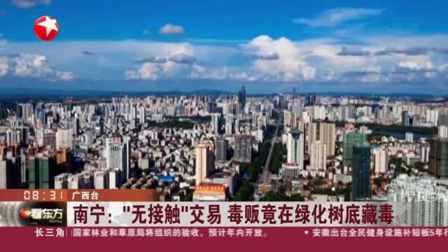 南宁:“无接触”交易 毒贩竟在绿化树底藏毒