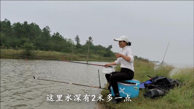 通大湖的小沟,青稍红尾连着上,草鱼也来凑热闹