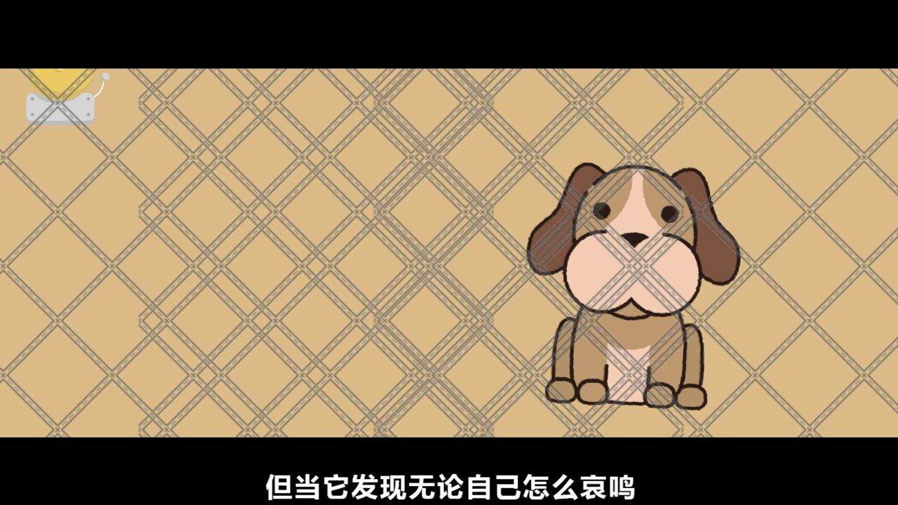 一定要看的心理学效应：习得性无助实验_高清