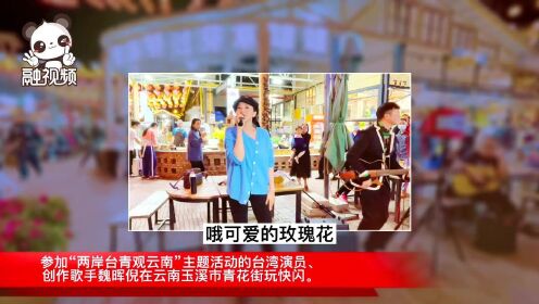 台湾演员参加“两岸台青观云南”活动，即兴玉溪市青花街玩快闪！