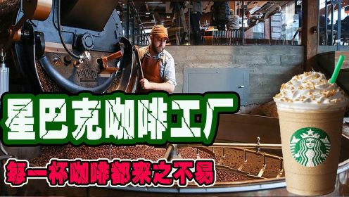 纪录片：星巴克咖啡工厂，每一杯咖啡都来之不易，一起纵想丝滑！