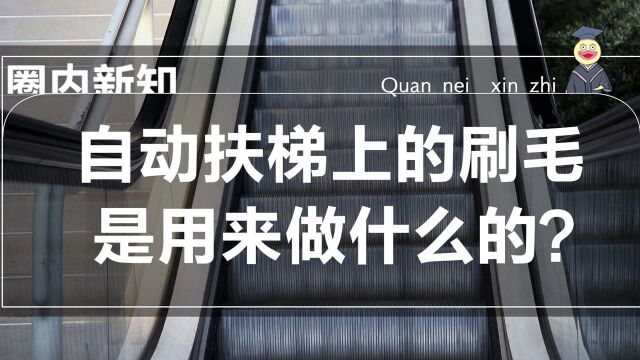 自动扶梯上的刷毛,是用来做什么的?