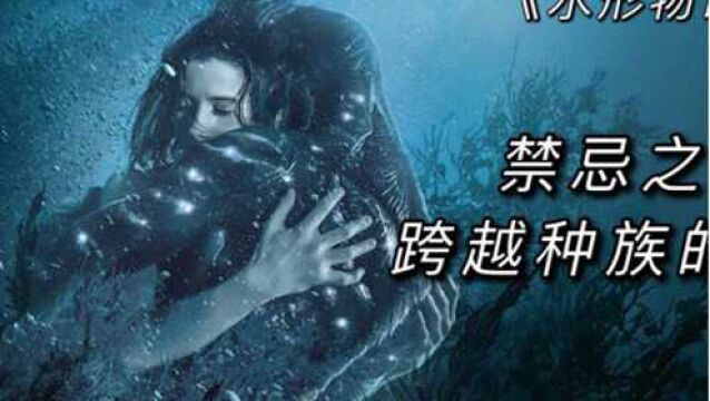 禁忌之恋:我爱你、我对你的爱意跨越了物种、我们只是两个相爱的生命体.#萌新UP#看点趣打卡计划#影视