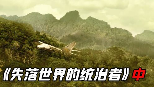 《失落世界的统治者》中：客机失事后，幸存者没找到，居然找到了几架飞机
