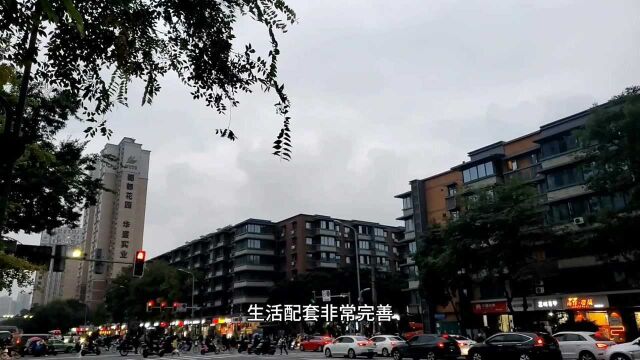 成都锦江水碾河南街老破小外立面翻新,单价1.2万左右,值不值