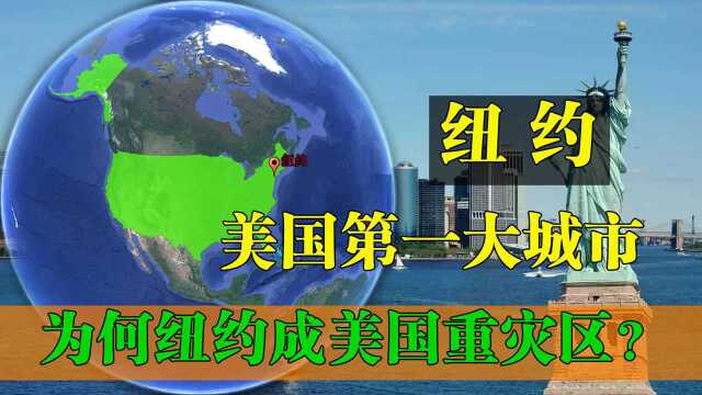 疫情期间,为何纽约成美国重灾区,疫情泛滥的原因是什么?