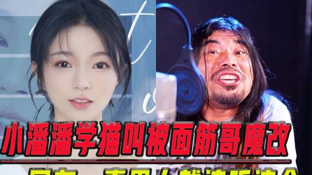 小潘潘也有今天自己学猫叫被魔改网友比原版好听多了