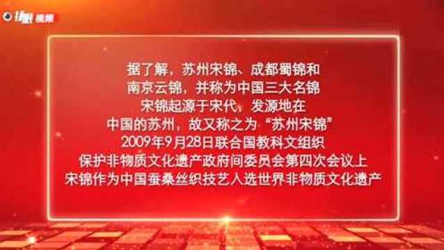 一个包包1万多?不是LV是“宋锦”!江苏“上久楷”走进进博会