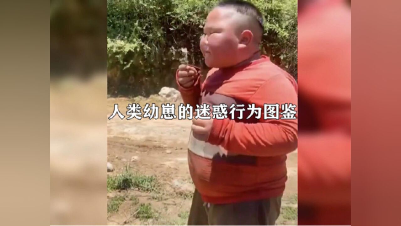爆笑：人类幼崽的迷惑行为大赏_腾讯视频