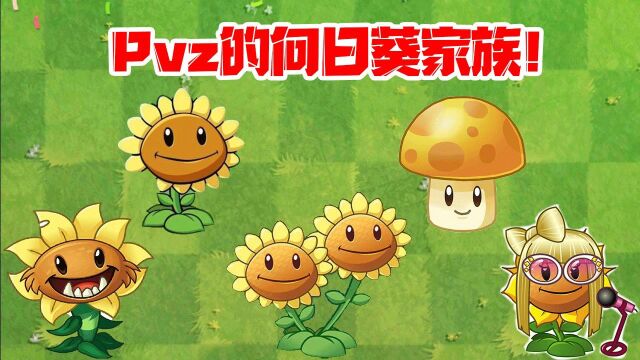 植物大战僵尸:Pvz三大家族之向日葵家族!阳光菇算是嘛?