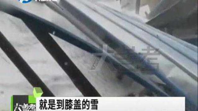 内蒙古通辽降大雪 网友一打开家门瞬间傻眼:大雪封门了