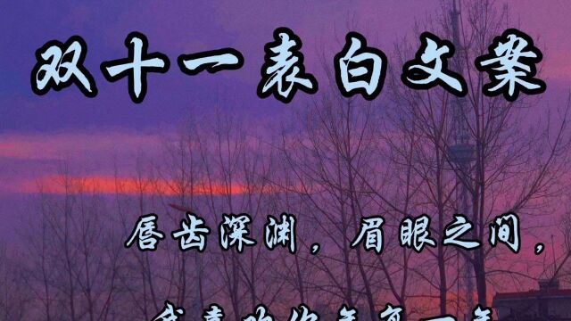 双十一表白文案|山野万里,你是我藏着微风里的欢喜.