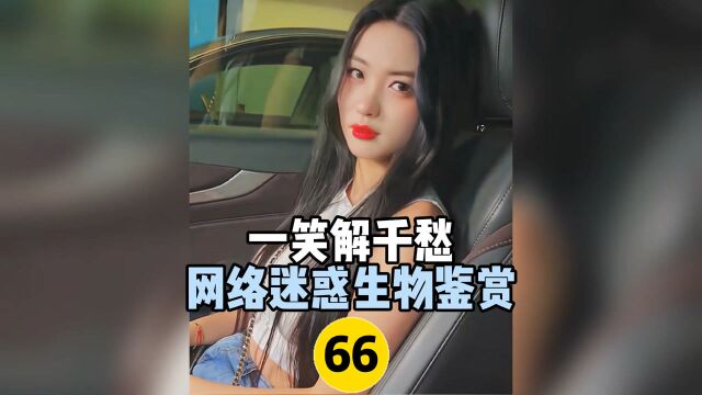 迷沙情侣的搞笑生活