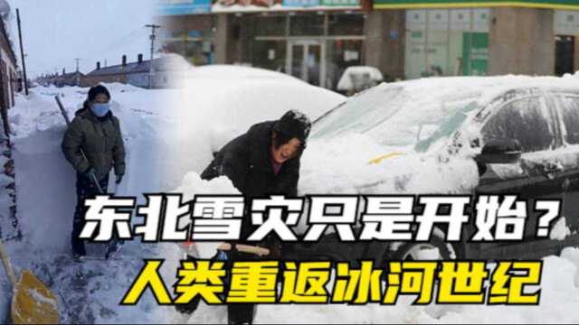 百年未遇!袭击东北的这场特大暴风雪,到底极端到了什么程度